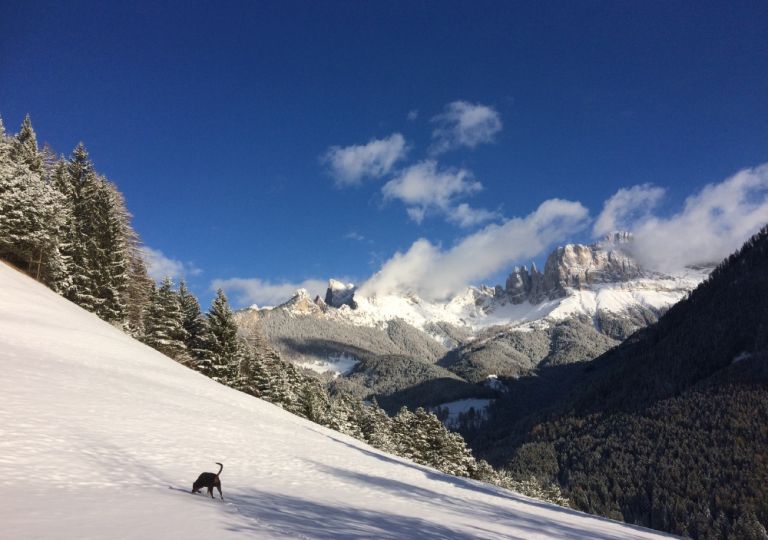 La nostra fattoria