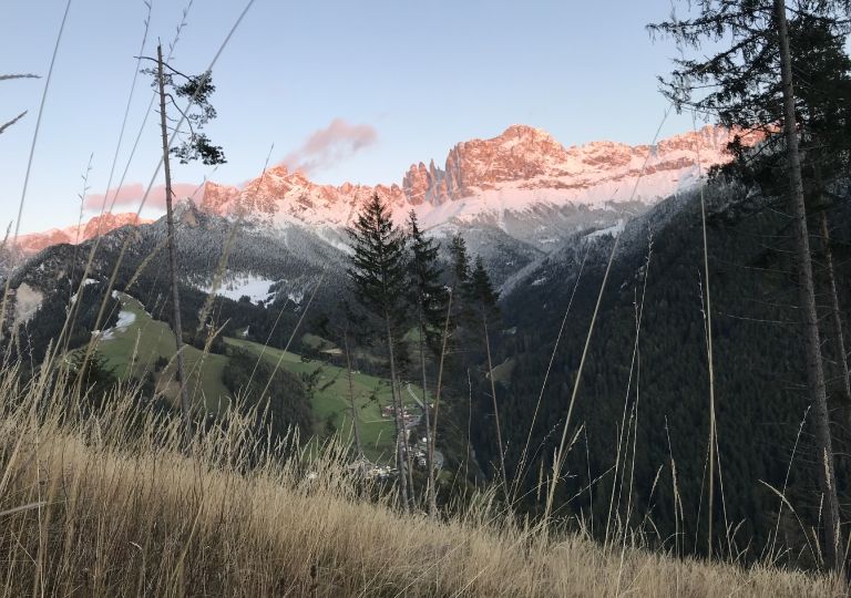 Umgebung